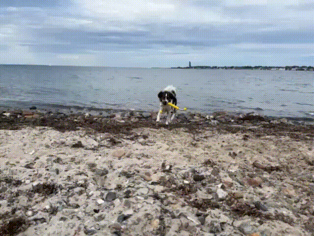 Kromfohrl&auml;nder